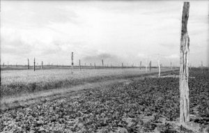 Rommels Asparges - Bundesarchiv_Bild_101I-582-2122-31